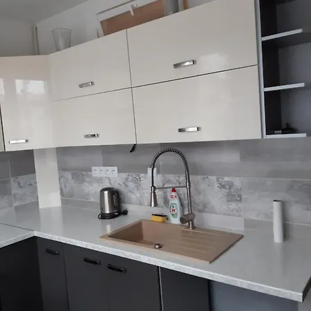 Byt V Blizkosti Centra Karlovych Varu Apartment *