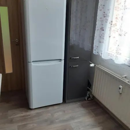 Byt V Blizkosti Centra Karlovych Varu カルロヴィ・ヴァリ