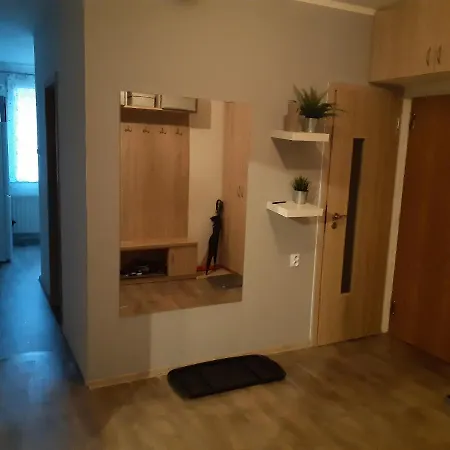 Byt V Blizkosti Centra Karlovych Varu Appartamento Karlovy Vary