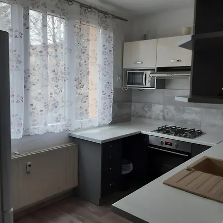 Byt V Blizkosti Centra Karlovych Varu * Karlovy Vary