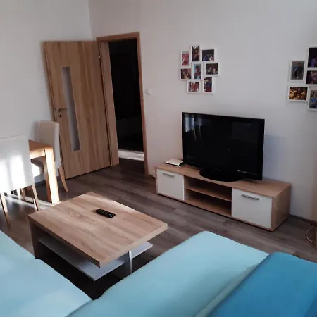 Byt V Blizkosti Centra Karlovych Varu Apartment