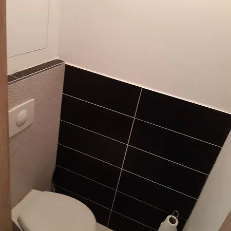Byt V Blizkosti Centra Karlovych Varu *