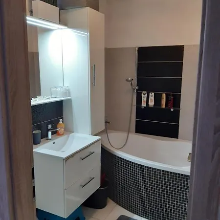 Byt V Blizkosti Centra Karlovych Varu Karlovy Vary